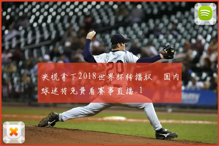 央视拿下2018世界杯转播权 国内球迷将免费看赛事直播_1