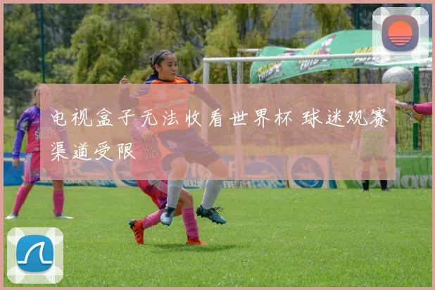 电视盒子无法收看世界杯 球迷观赛渠道受限