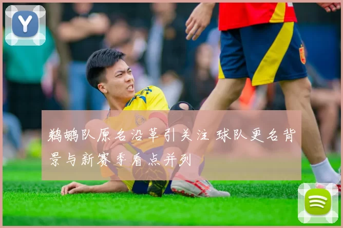 鹈鹕队原名沿革引关注 球队更名背景与新赛季看点并列