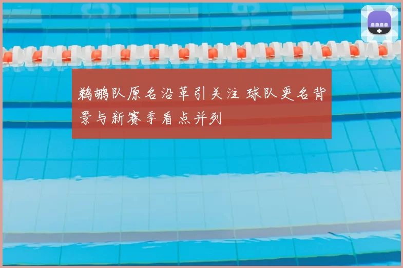 鹈鹕队原名沿革引关注 球队更名背景与新赛季看点并列