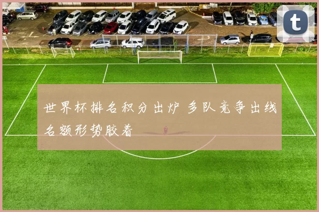 世界杯排名积分出炉 多队竞争出线名额形势胶着