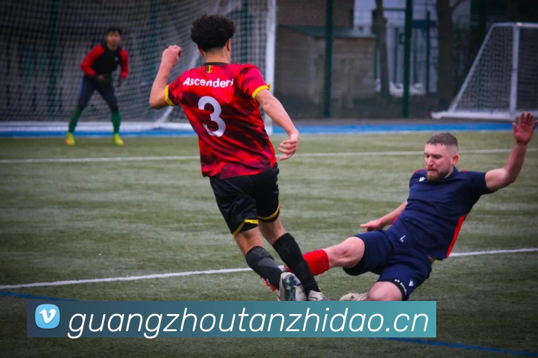 尊龙凯时人生就是搏·(中国区)官方网站平台生态图